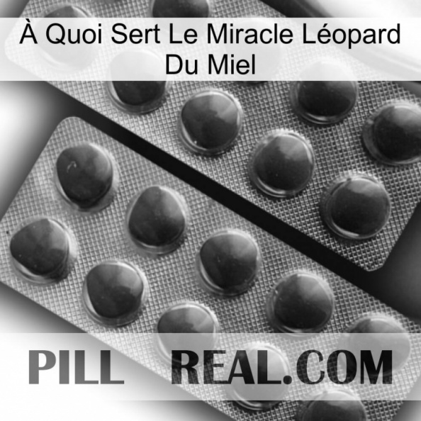 À Quoi Sert Le Miracle Léopard Du Miel 31.jpg